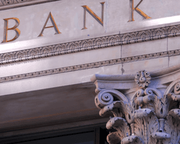 View Customer Profiles in a Single Platform Image